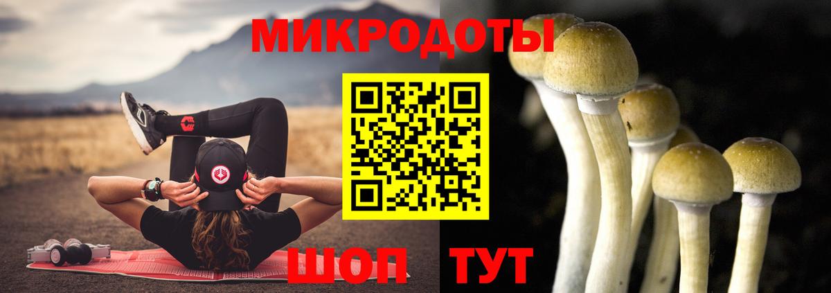 Галлюциногенные грибы мицелий Елец